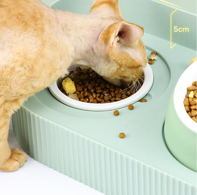 Your pet’s happy place
